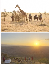 Honeymoon: Lewa Wilderness