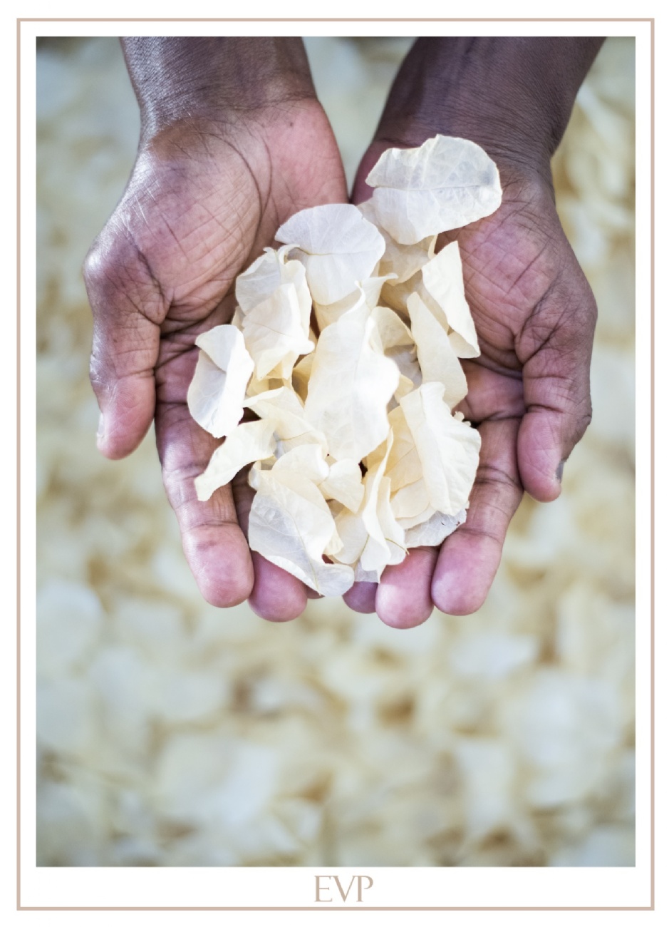 Photo radD7B61_2026_3_9.jpg